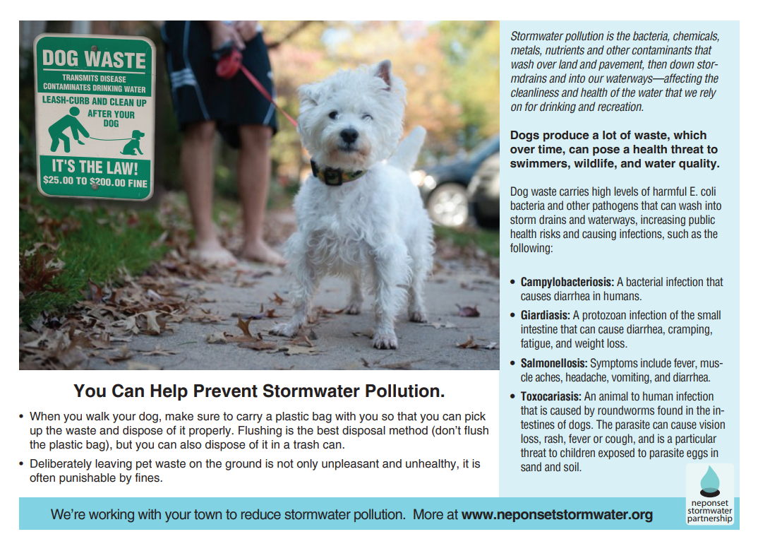 Pet Waste Stormwater Pollution