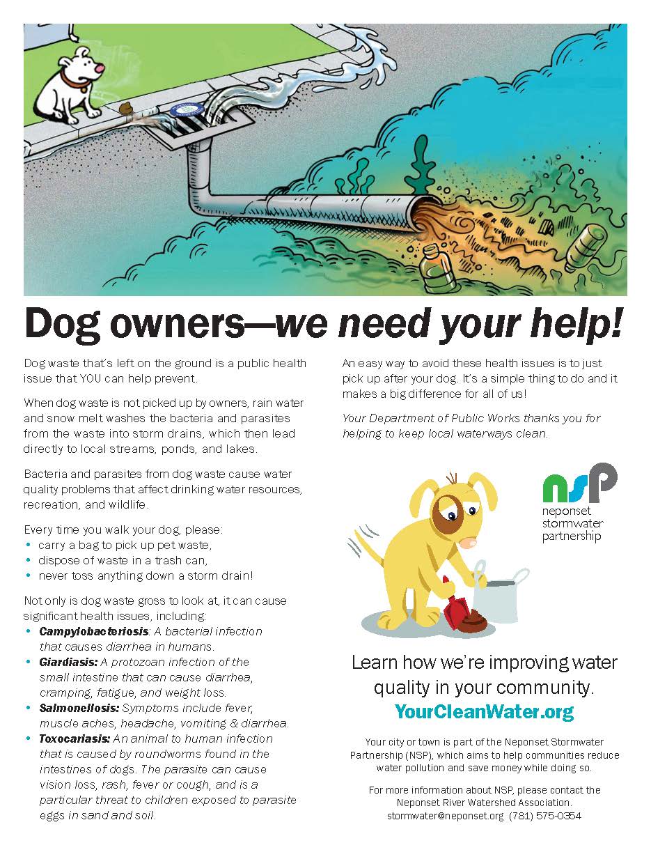 Dog waste flyer 8.5x11_NOV 2022