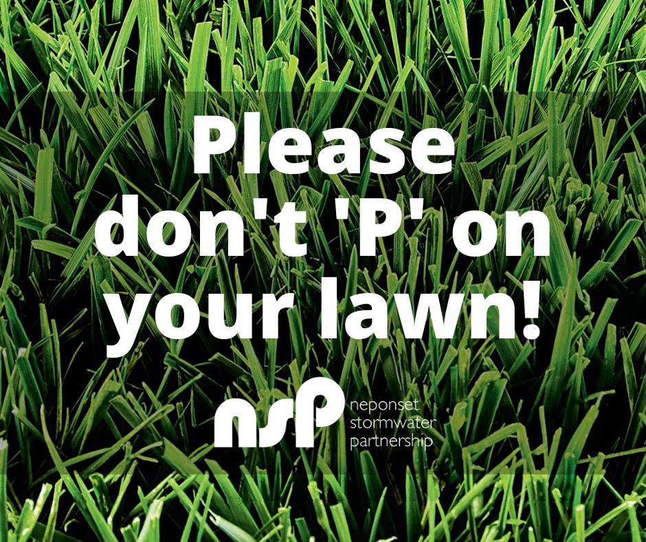 dont P in your lawn