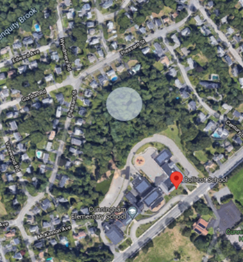 The wooded parcel at Collicot / Cunningham Elementary School