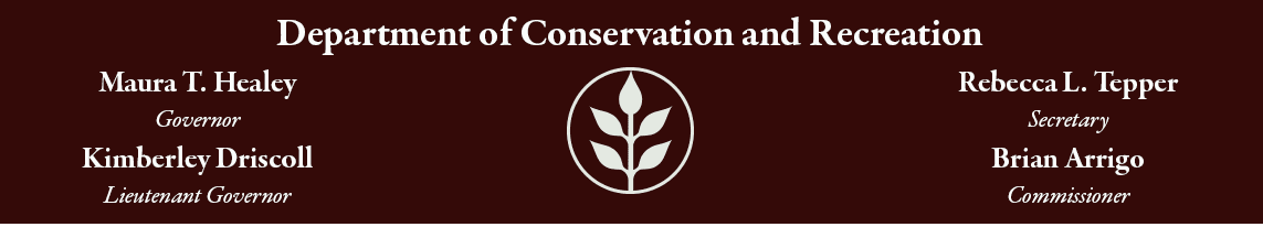 DCR Recreational Advisory: Cyanobacteria Bloom in Houghton’s Pond 